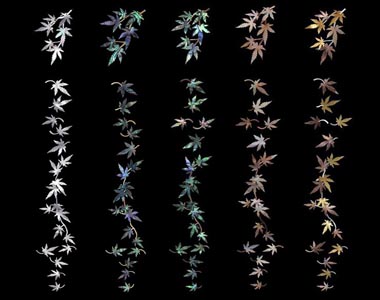 New Japanese Maple Peg Head Inlay Set